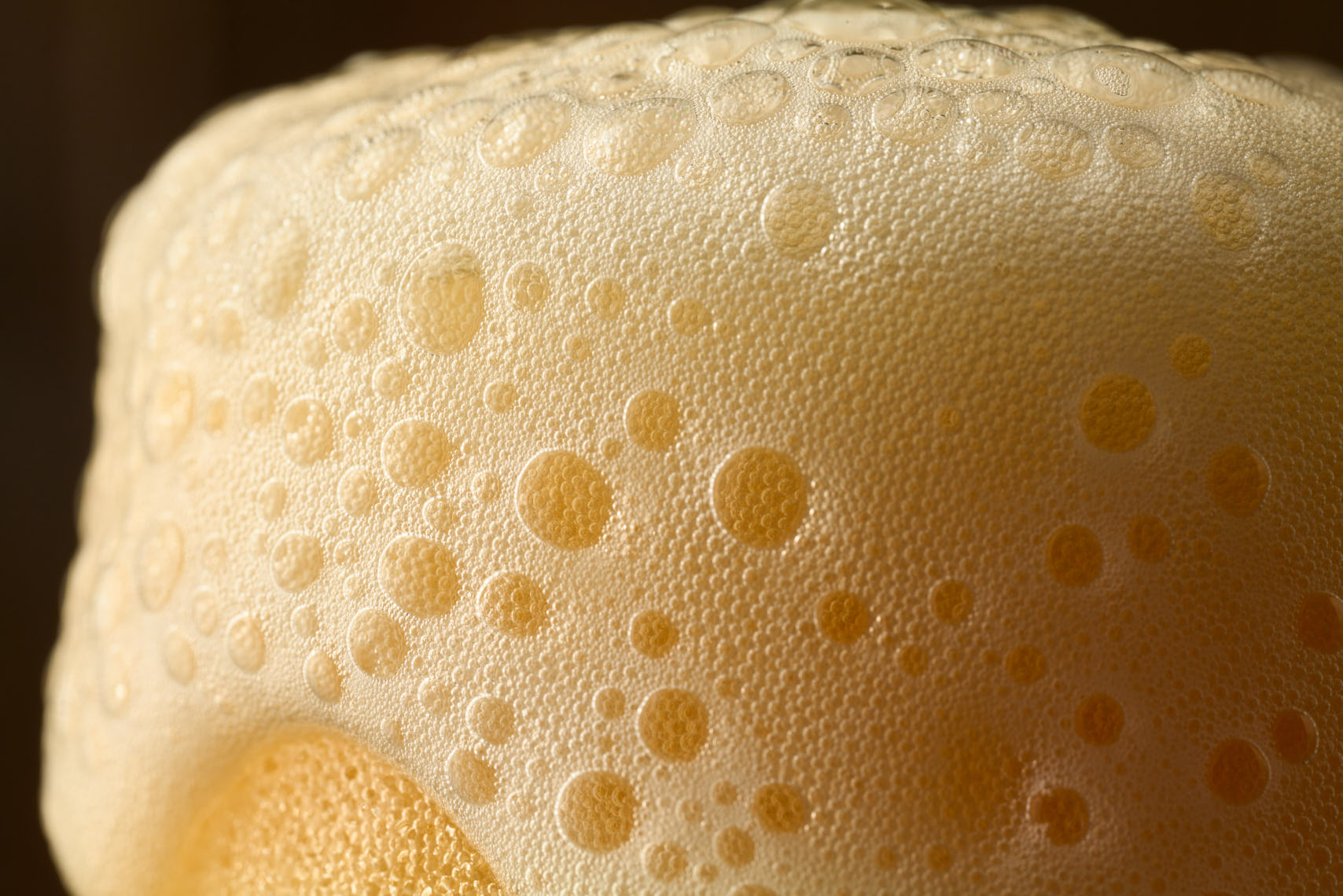 Beer Foam - Drink Photographer Pennsylvania & New Jersey
