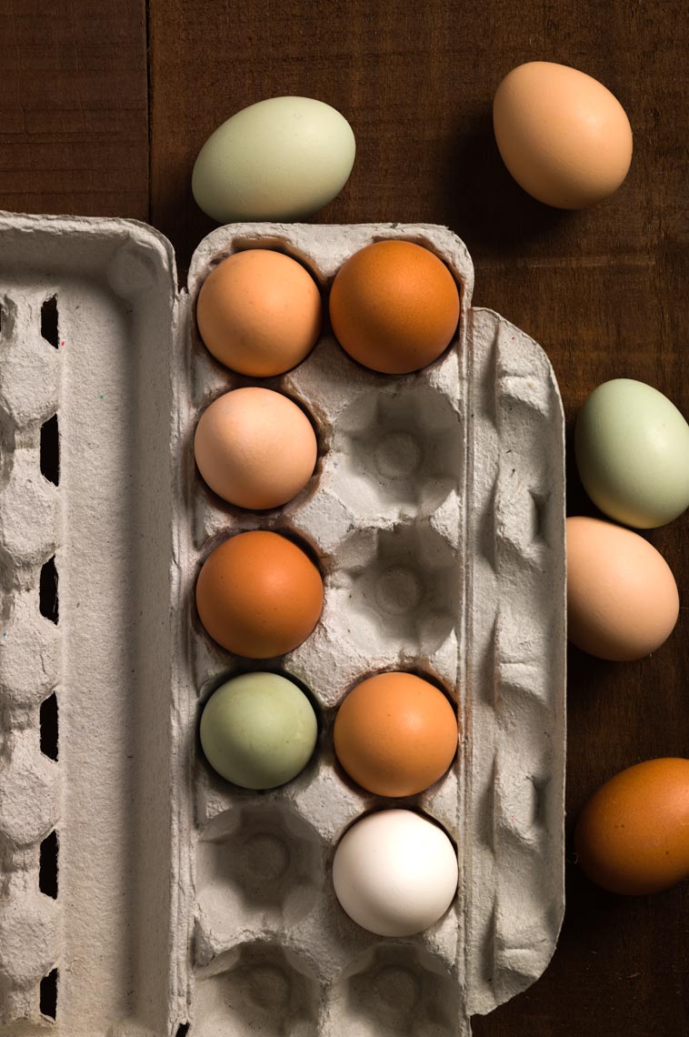 Local Eggs From Bucks County, PA - Food Photographer