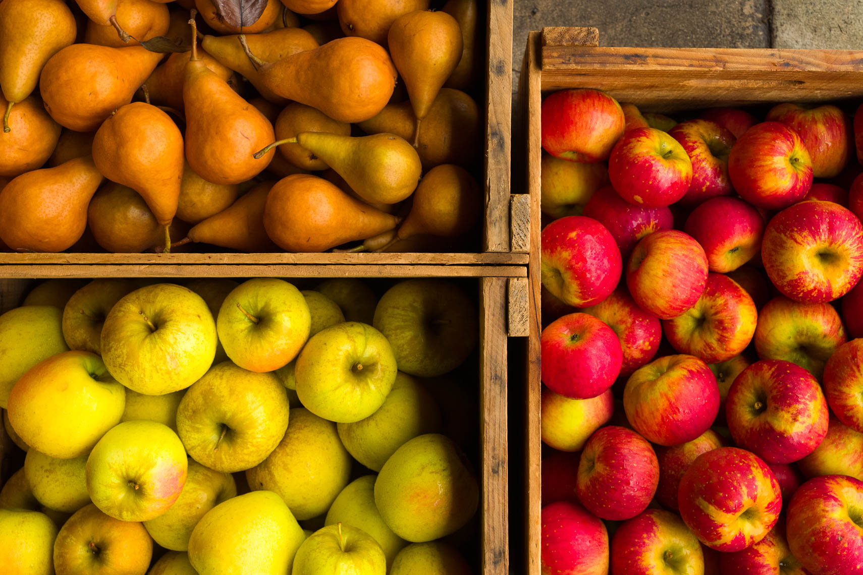 Solebury Orchard Apples & Pears - Philadelphia Food Photography
